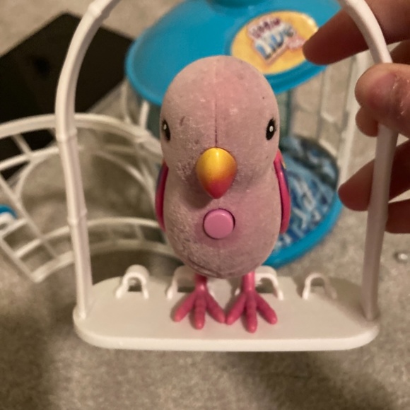 Little Live Pets Secret Songbird and cage - Picture 3 of 6